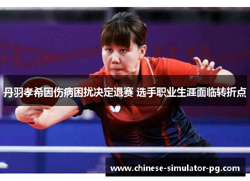 丹羽孝希因伤病困扰决定退赛 选手职业生涯面临转折点 丹羽孝希因伤病困扰决定退赛 选手职业生涯面临转折点