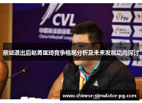 蔡斌退出后赵勇匡琦竞争格局分析及未来发展动向探讨 蔡斌退出后赵勇匡琦竞争格局分析及未来发展动向探讨